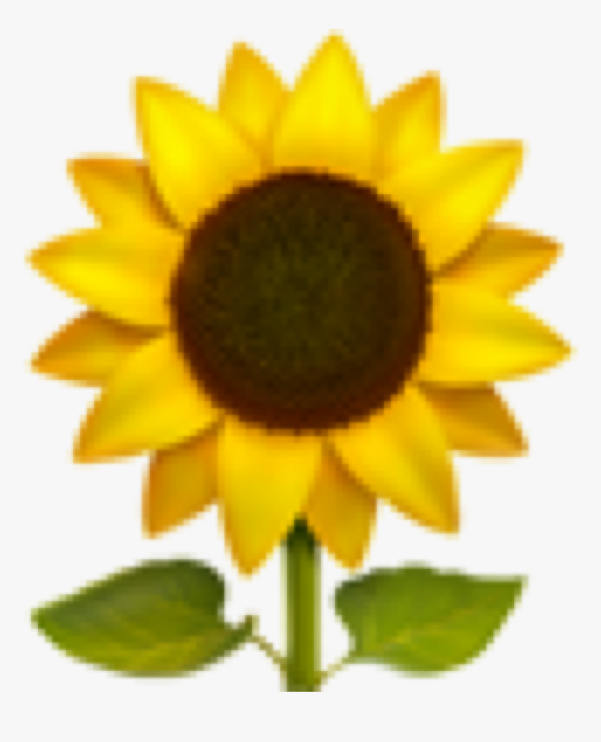 Emoji Iphone Iphoneemoji Emojis Iphoneemojis Sunflower Sunflower Emoji Png Transparent Png Kindpng