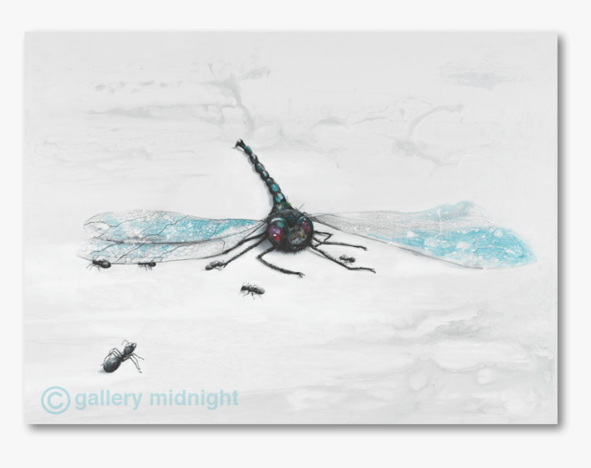 Dragon Fly - Damselfly, HD Png Download, Free Download