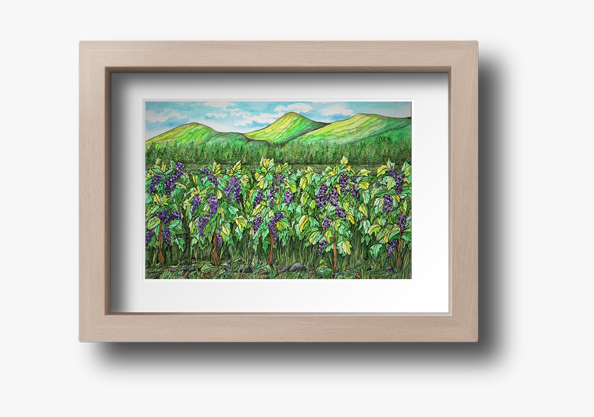 Vineyard Artwork Dee Skelton - Picture Frame, HD Png Download, Free Download