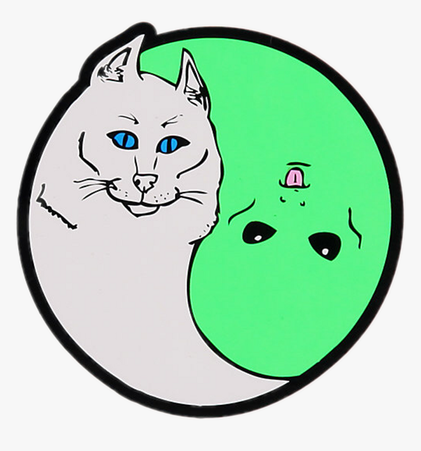 Rip n store dip cat png