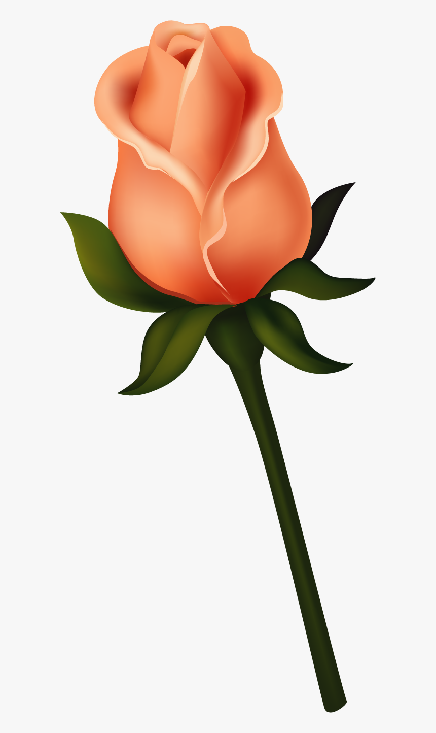 Transparent Bud Png - Flower Clipart Single Rose Orange, Png Download, Free Download