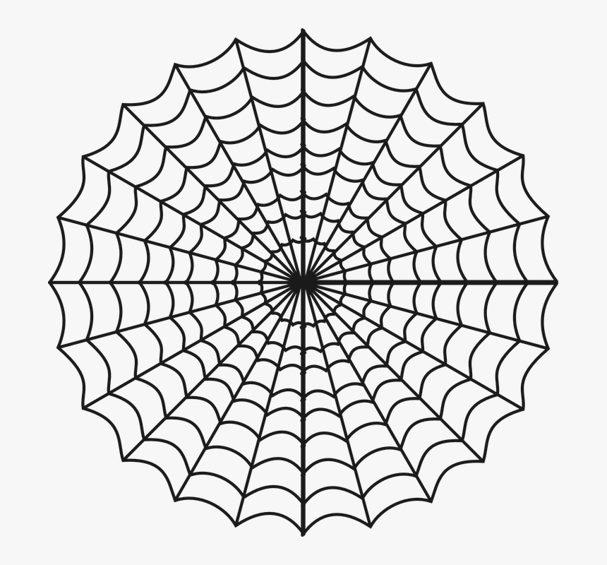 Cobweb, Spiderweb, Spider"s Web, Trap, Web, Net - Charlottes Web Spider Web, HD Png Download, Free Download