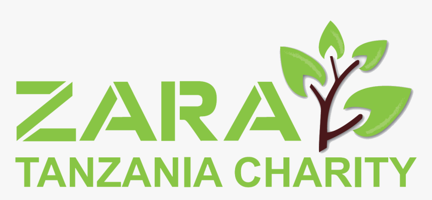 Transparent Zara Png - Graphic Design, Png Download, Free Download