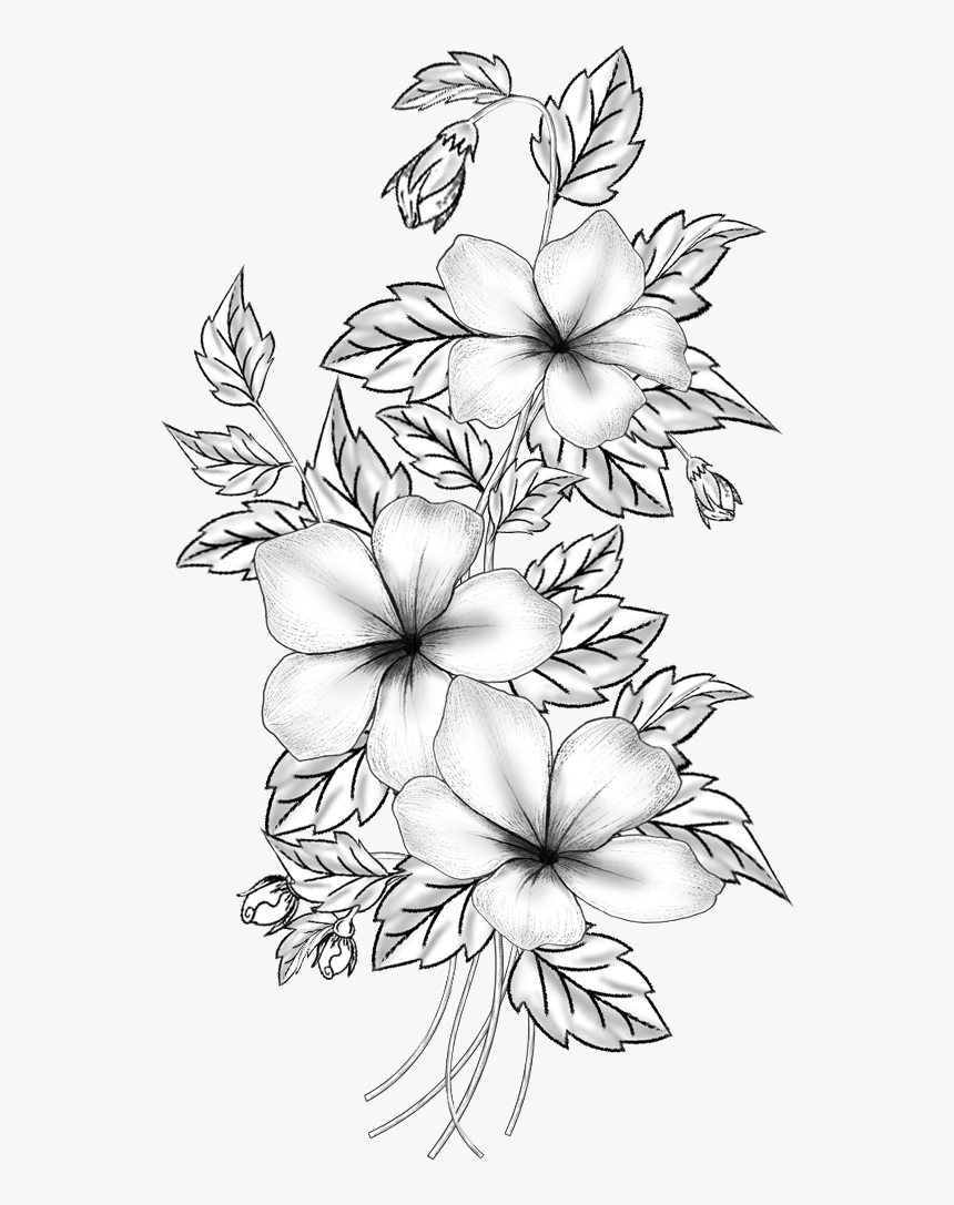 Rose flower outline, Bouquet of drose flower, hand drawn pencil sketch  coloring page and book for adults isolated on white background floral  element tattooing, illustration ink art. rose vector art. 21732861 Vector