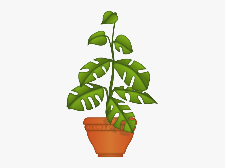 Flowerpot, HD Png Download, Free Download