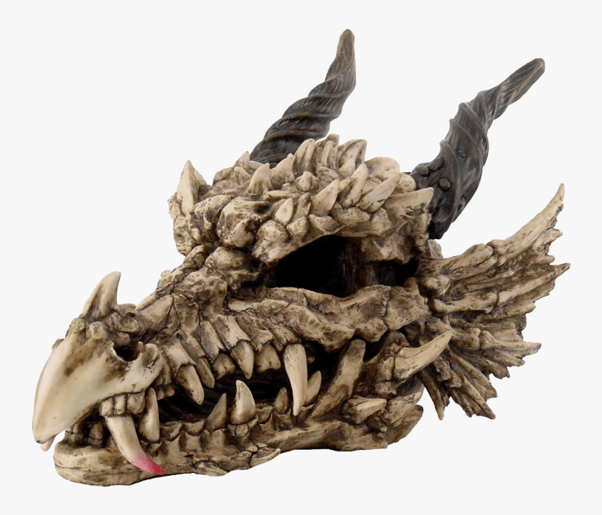 Large Dragon Skull - Dragon Skull, HD Png Download, Free Download