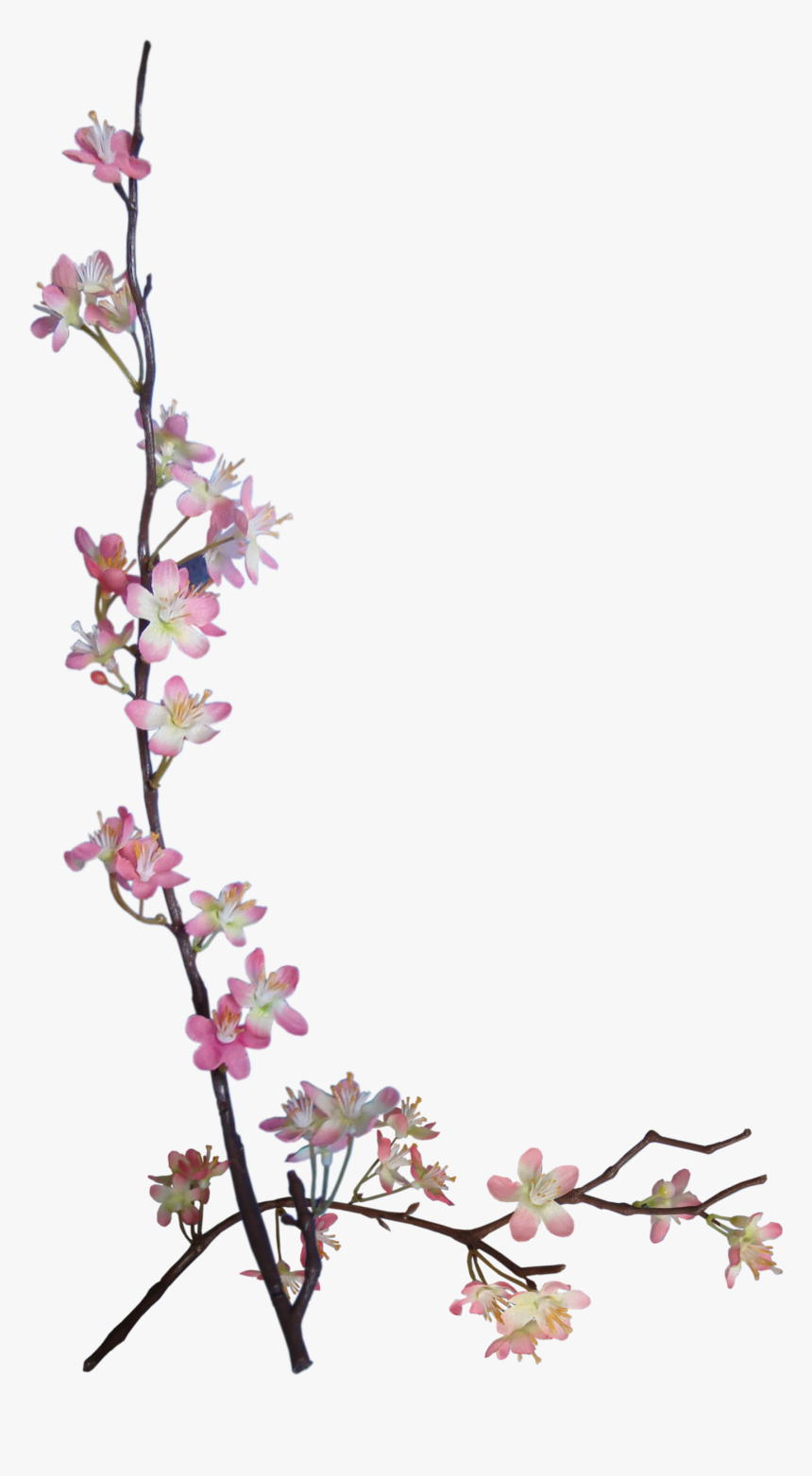 Blossom Clipart Floral Element, HD Png Download, Free Download