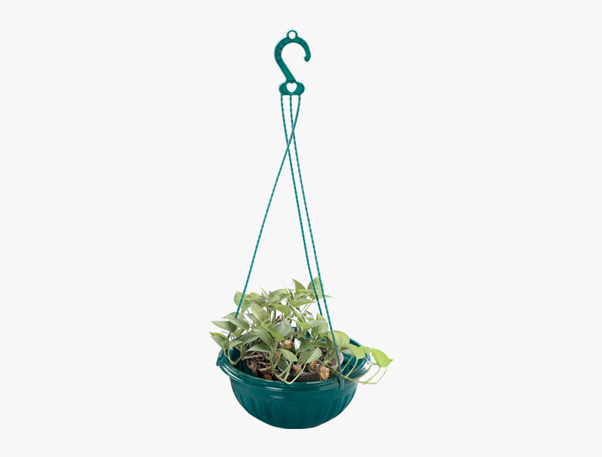 Hanging Flowers Png, Transparent Png, Free Download