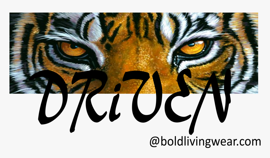 Tiger Eyes Png, Transparent Png, Free Download