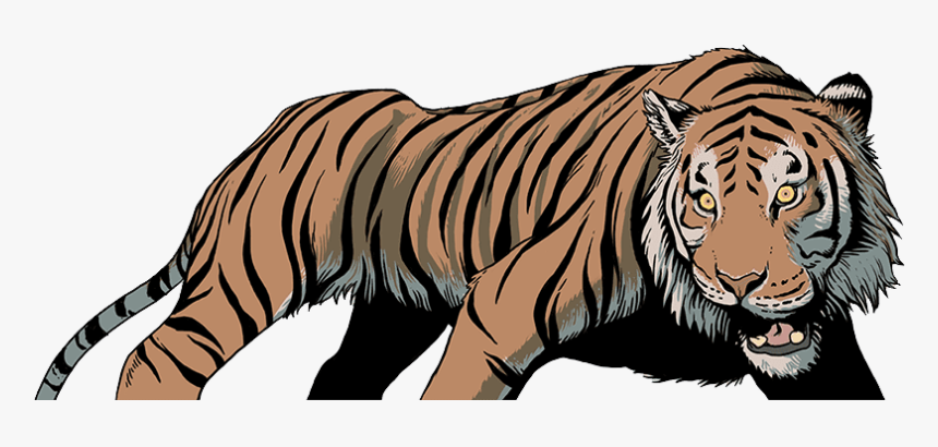 Illustrated Tiger In A Cautious Stance Looking To Left, HD Png Download, Free Download