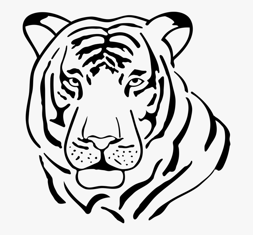 Tiger, Cat, Feral Cat, Animal, Vector, Predator, Fur, HD Png Download, Free Download