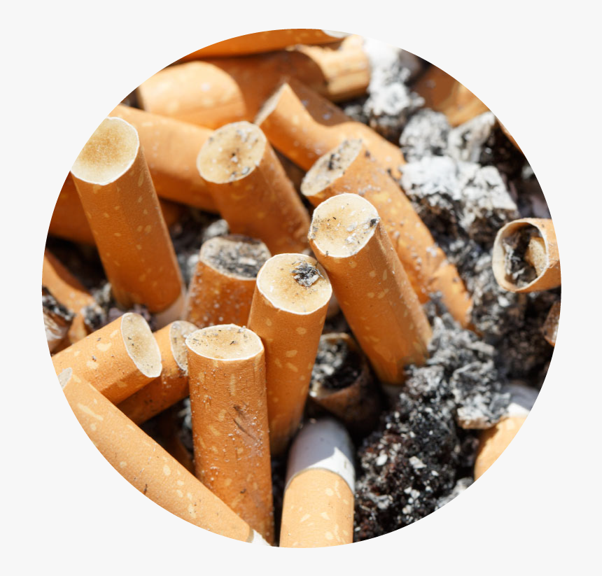 Cigarette Butt Png, Transparent Png, Free Download