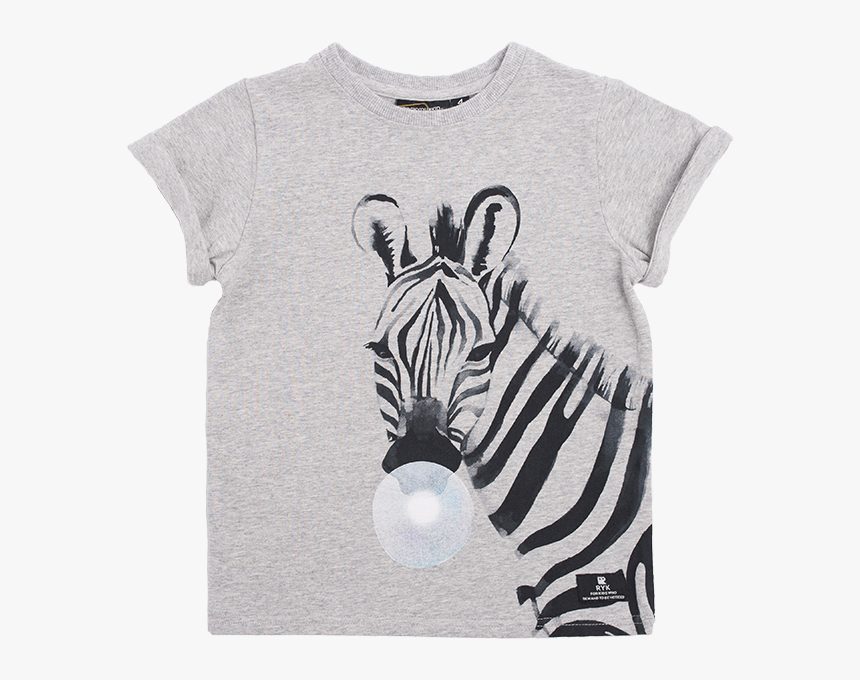 Baby Zebra Png, Transparent Png - kindpng