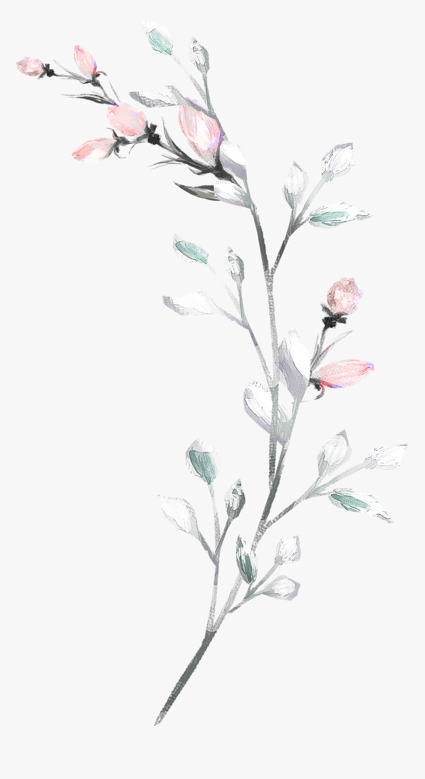 Transparent White Watercolor Png, Png Download, Free Download