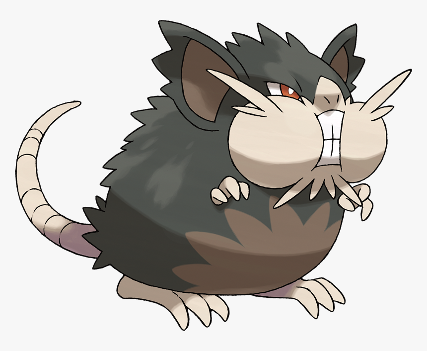 Raticate Png, Transparent Png, Free Download