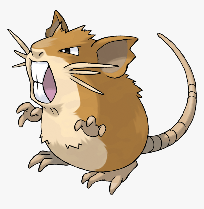 Raticate, HD Png Download, Free Download