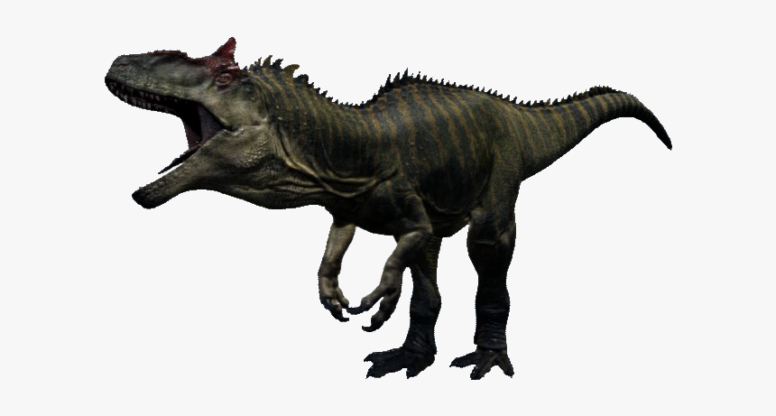 Allosaurus Torvosaurus Dinosaur Carnotaurus Image, HD Png Download, Free Download