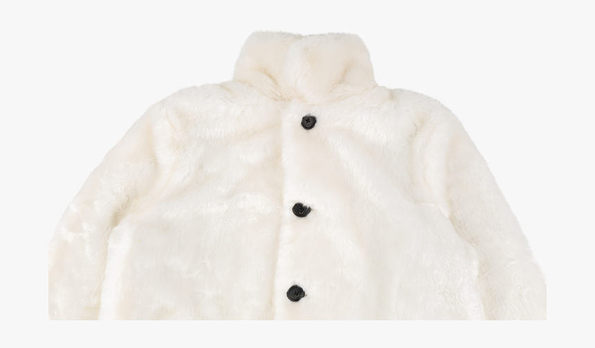 Fur Coat Png, Transparent Png, Free Download