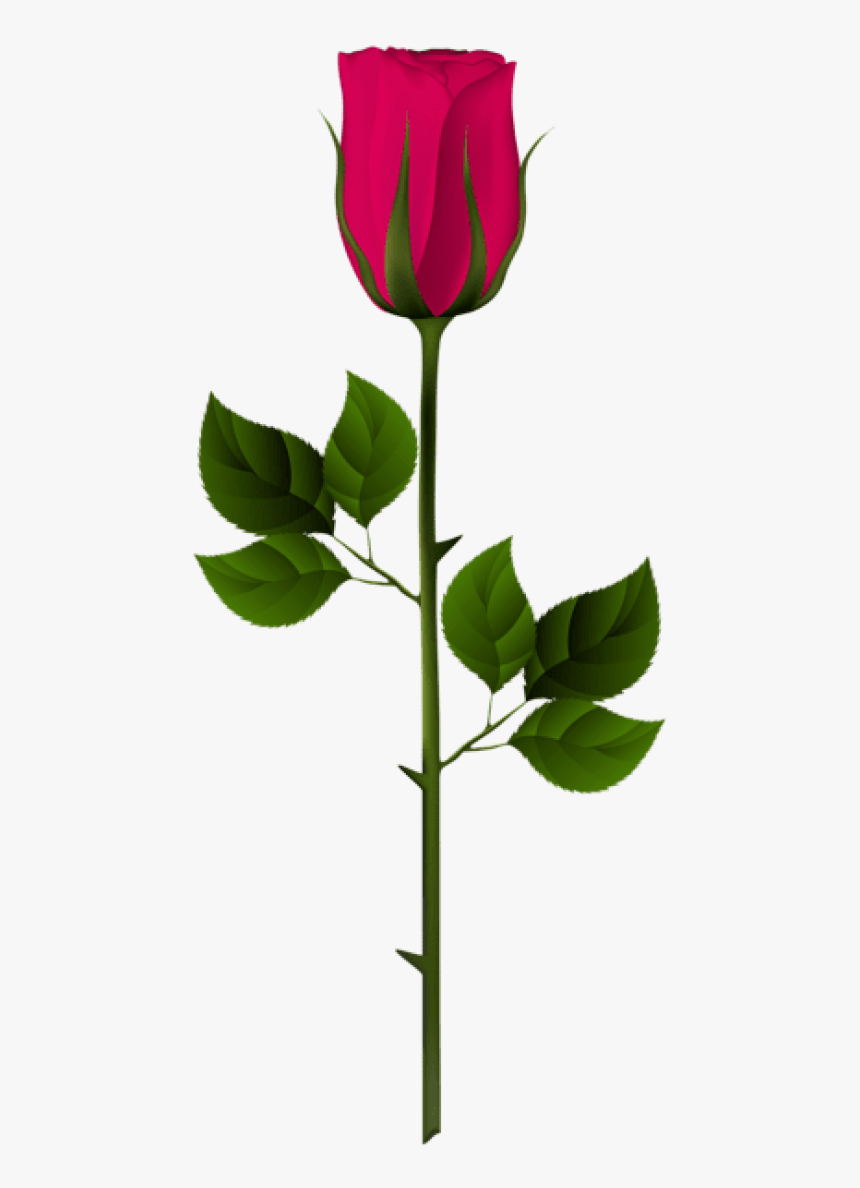 Free Png Pink Rose Bud Png Images Transparent, Png Download, Free Download