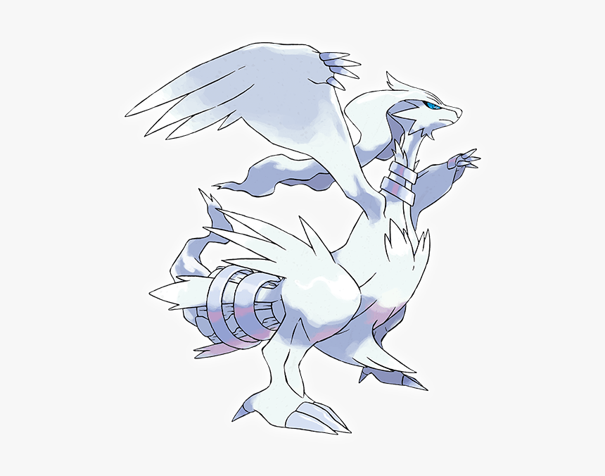 Zekrom Png, Transparent Png, Free Download