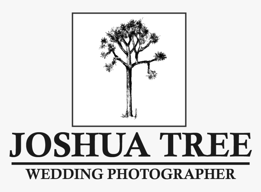 Joshua Tree Png, Transparent Png, Free Download