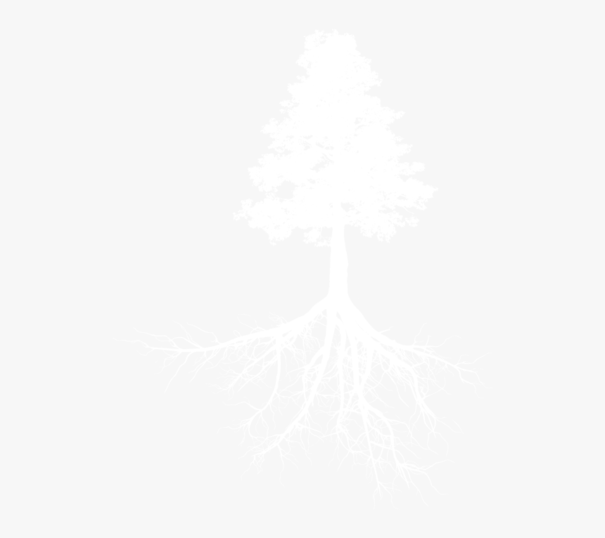 Tree, HD Png Download, Free Download