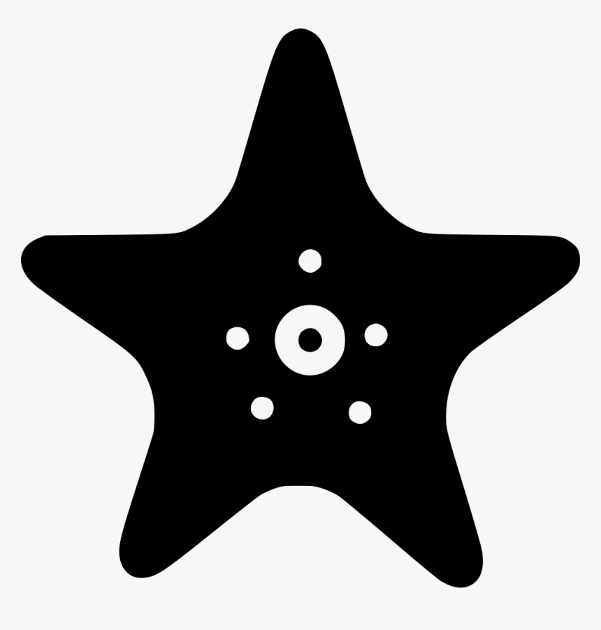 Starfish, HD Png Download, Free Download