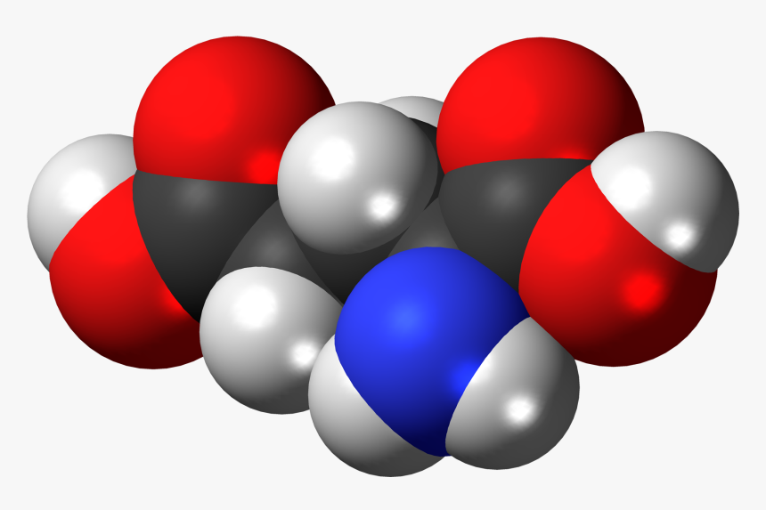 Alanine Space Filling Model, HD Png Download, Free Download