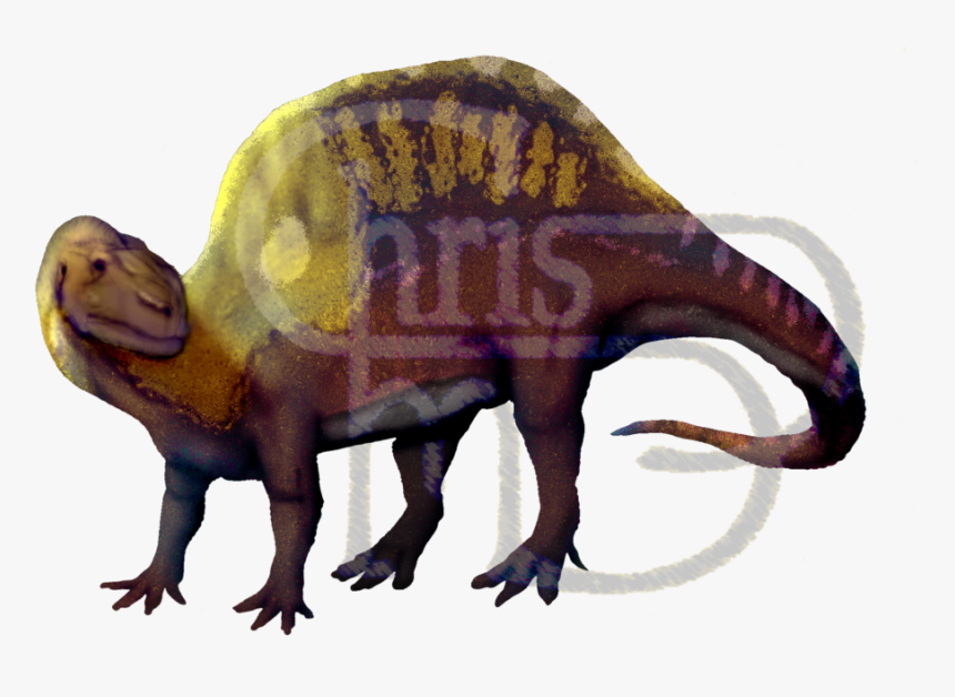 Spinosaurus Aegyptiacus, Restored On The Conceit That, HD Png Download, Free Download