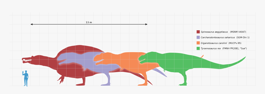 Spinosaurus Png, Transparent Png, Free Download