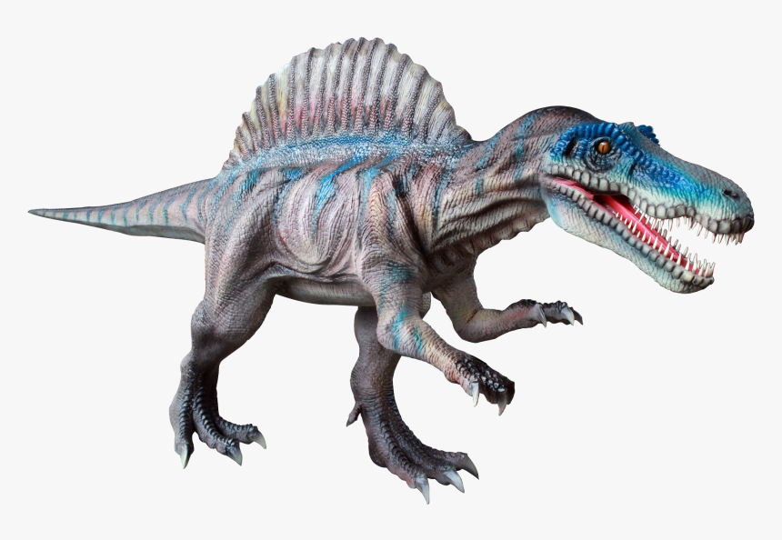 Spinosaurus Png, Transparent Png, Free Download