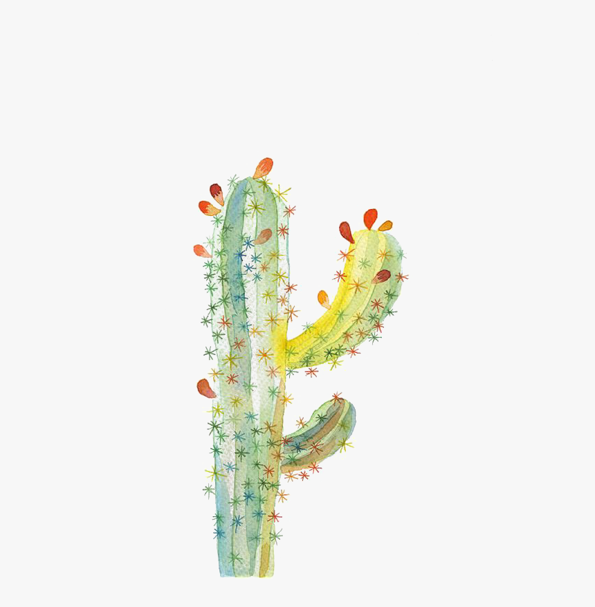 Transparent Watercolor Cactus Png, Png Download, Free Download