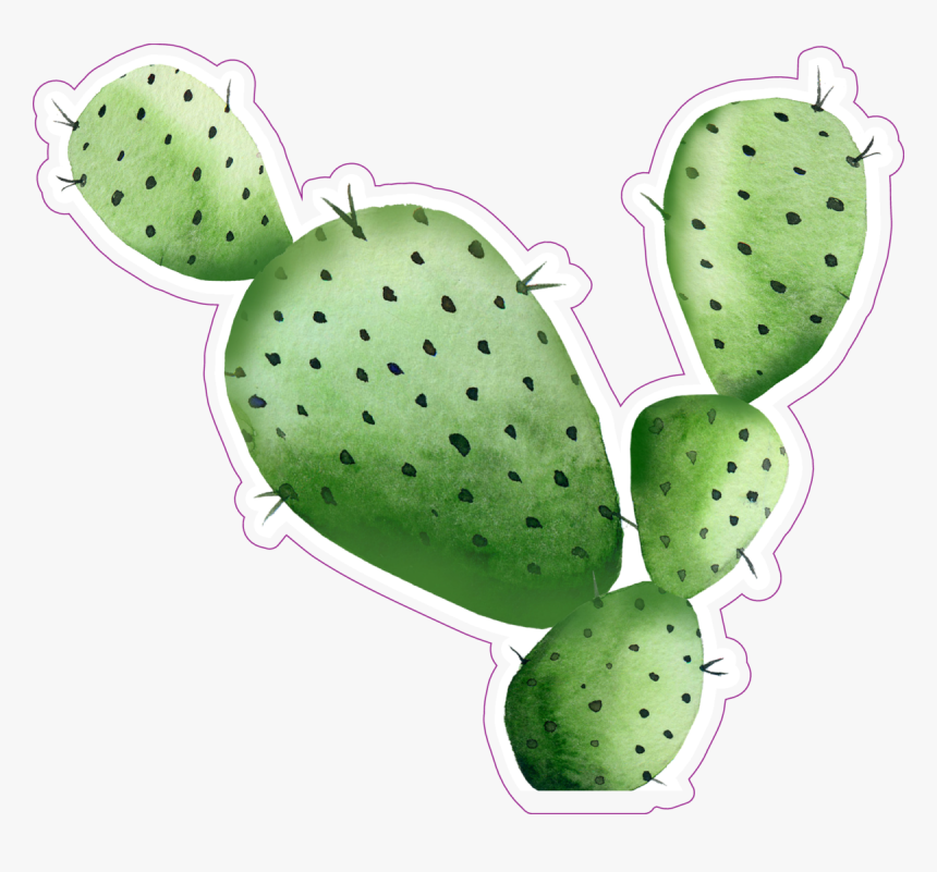 Sharp Watercolor Cactus Sticker, HD Png Download, Free Download