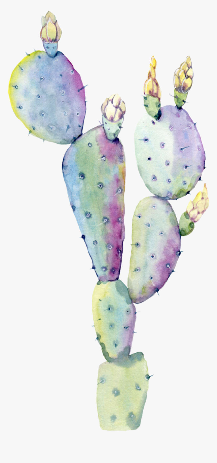 #freetoedit #ftestickers #watercolor #cactus #succulent, HD Png Download, Free Download