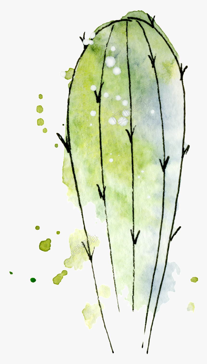 Transparent Watercolor Cactus Png, Png Download, Free Download