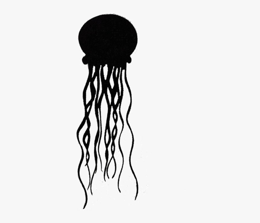 Jelly Fish Png, Transparent Png, Free Download