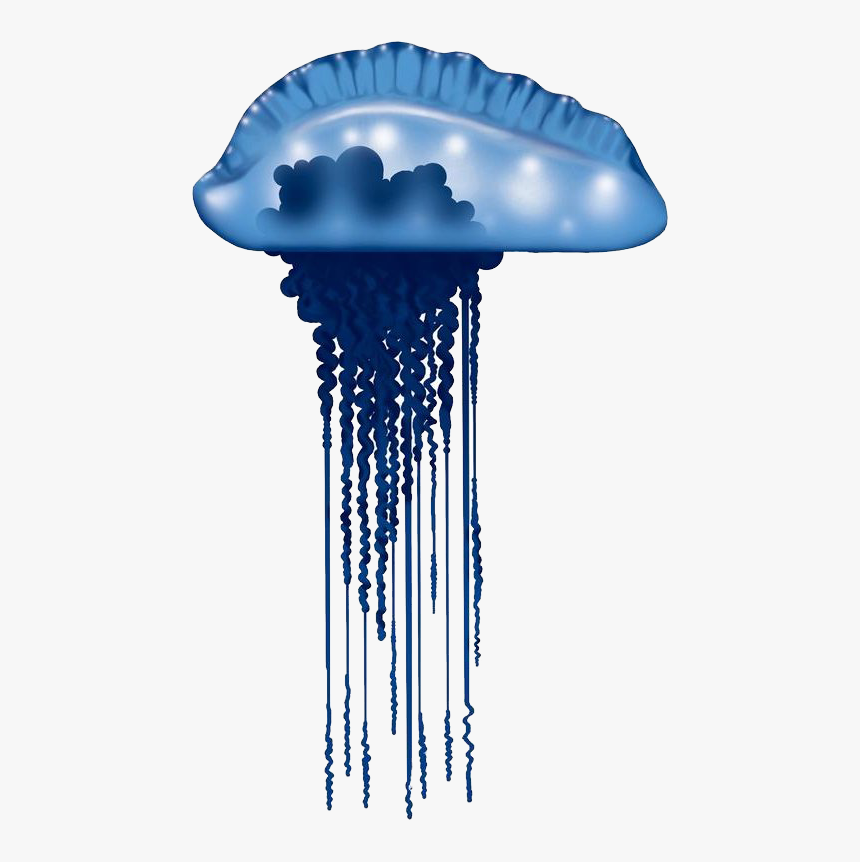 Blue Bottle Jellyfish Photo Background, HD Png Download, Free Download