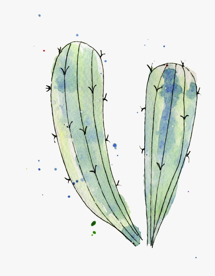 Blue Green Cactus Watercolor Hand Painted Transparent, HD Png Download, Free Download