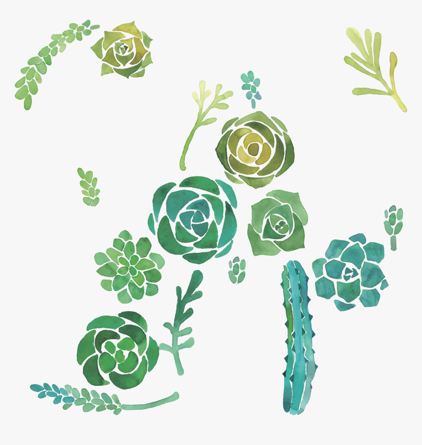 Cactaceae Watercolor Painting Succulent Plant Illustration, HD Png Download, Free Download