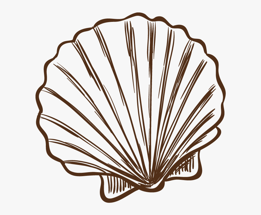 Seashell Illustration Hand Painted Shells Transprent, HD Png Download, Free Download