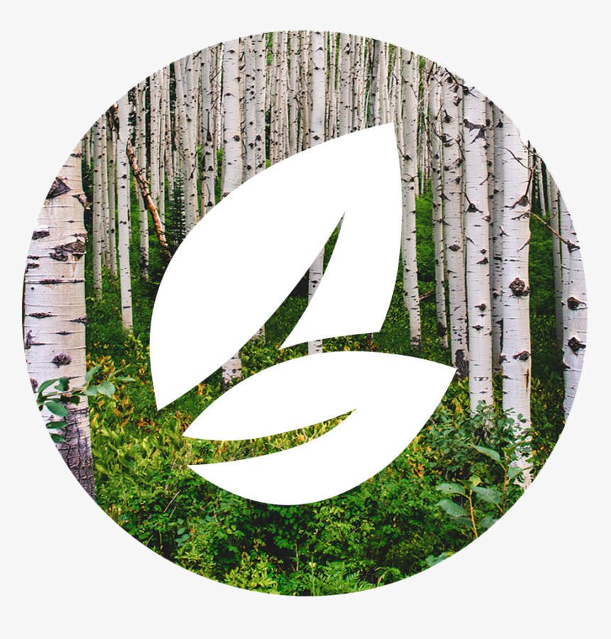 Earth Png Icon, Transparent Png, Free Download