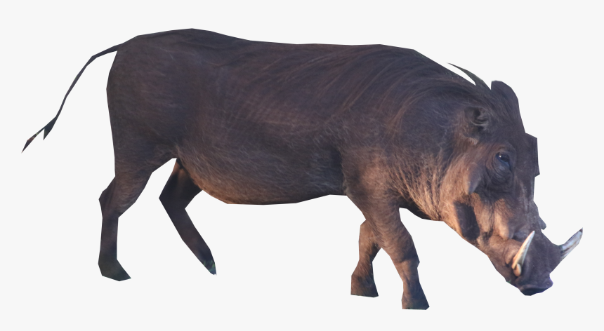 Boar Png, Transparent Png, Free Download