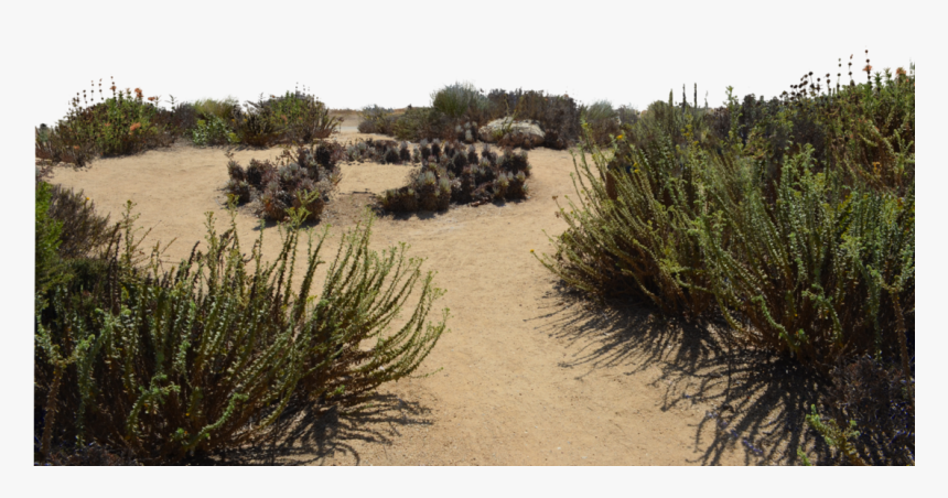 Sand Dunes Stock Photo Dsc 0116 Png By Annamae22-d9tryog, Transparent Png, Free Download