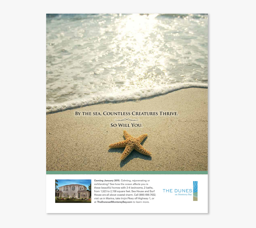 Ad Sheahomes Dunescreature 01, HD Png Download, Free Download