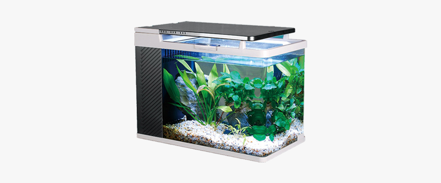 Aquarium Png, Transparent Png, Free Download