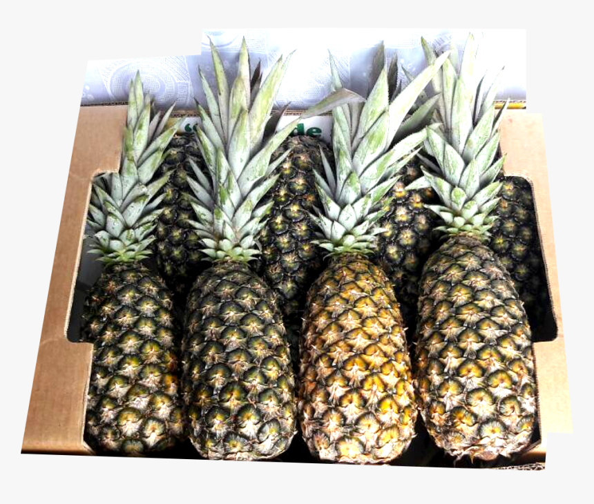 Transparent Pineapple Slices Png, Png Download, Free Download