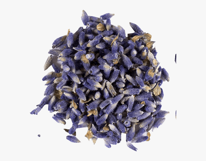 Ultra Blue Premium Lavender Flower Buds 3, HD Png Download, Free Download