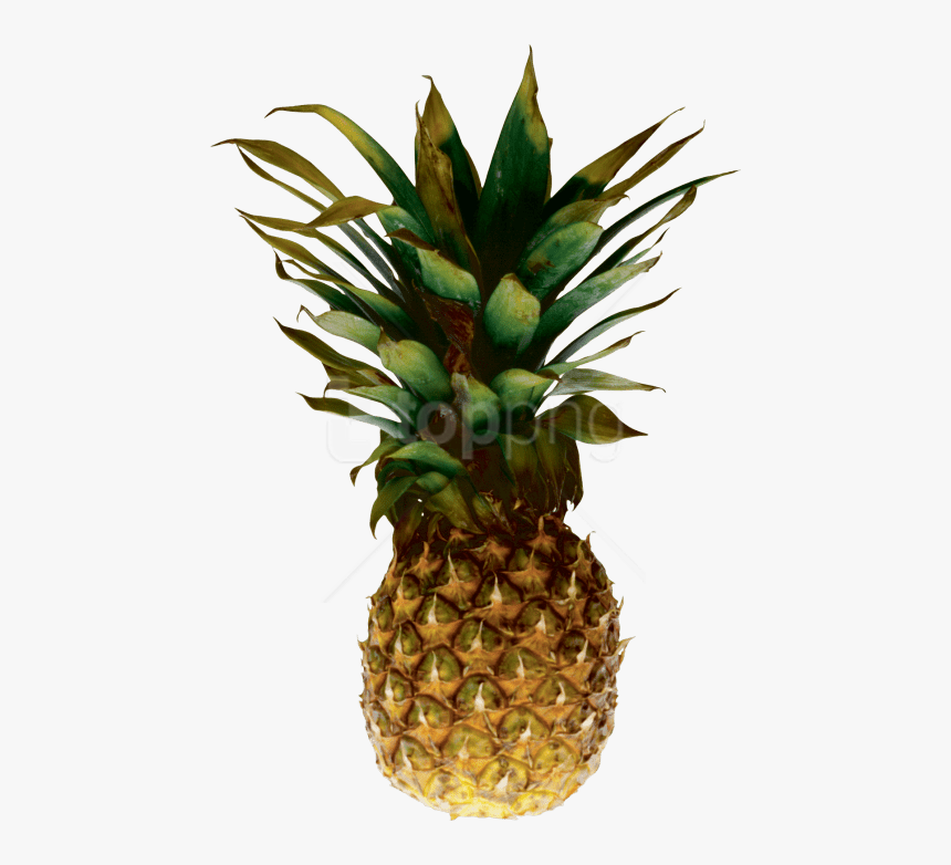 Free Png Download Pineapple Png Images Background Png, Transparent Png, Free Download