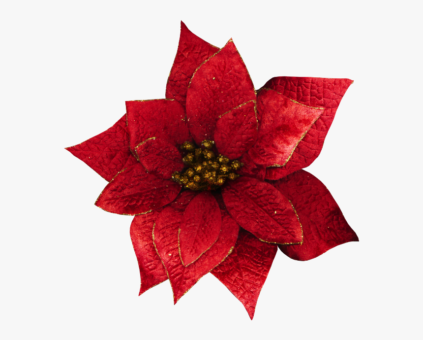 Transparent Christmas Flowers, HD Png Download, Free Download