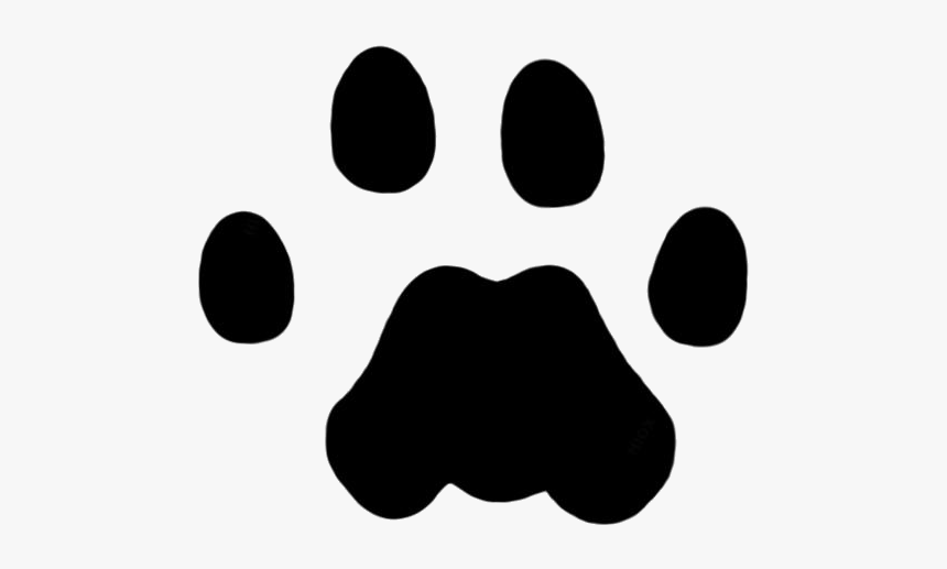 Transparent Lion Paw Png Image, Png Download, Free Download